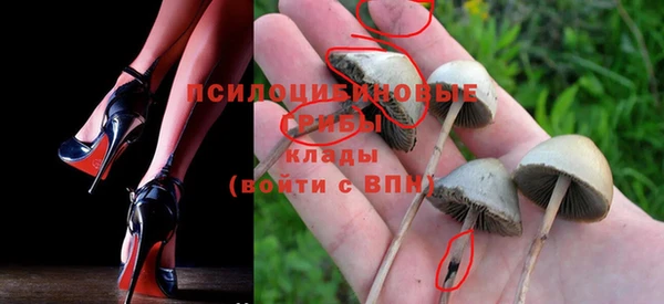 эйфоретик Алексин