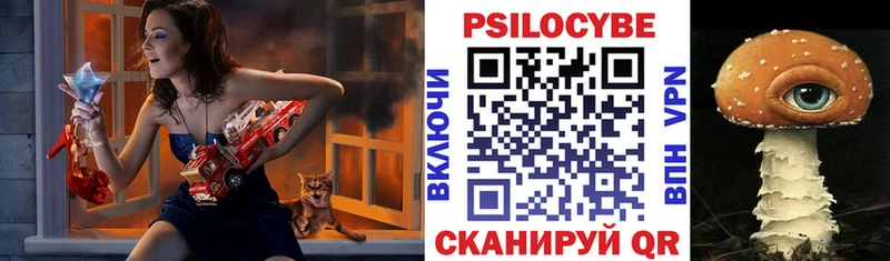 закладки Цоци-Юрт Псилоцибиновые грибы Magic Shrooms