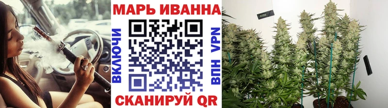 Бошки Шишки THC 21%  как найти наркотики  Цоци-Юрт 
